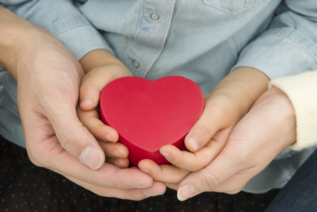 ���퐶����������Ƃ́H�⏞�Ώۂ�⏞���e��A���ӓ_�����