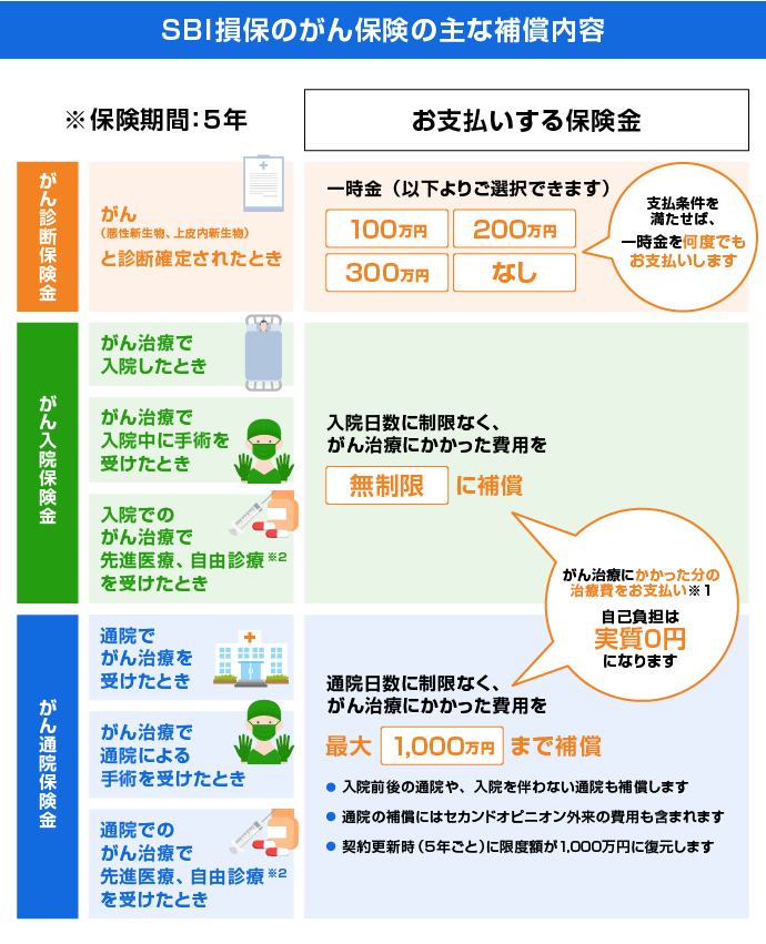 SBI���ۂ̂���ی��̎�ȕ⏞���e
