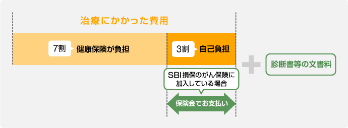 ���N�ی��K�p�̐f�Â̏ꍇ