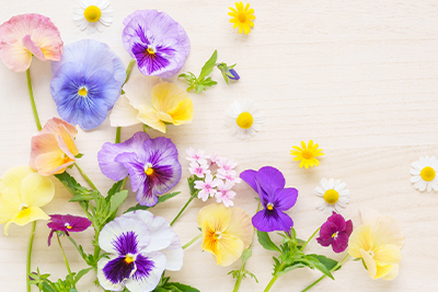 �y��30�b�z����ی��́u����^�v�Ɓu�I�g�^�v�͂ǂ��I�ԁH