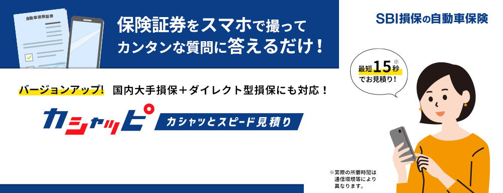 Sbi損保の公式サイト 自動車保険 任意保険 がん保険 火災保険