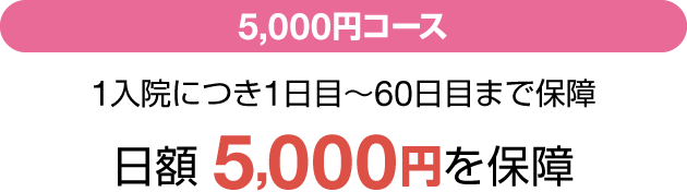 5,000~R[X 1@ɂ1ځ`60ڂ܂ŕۏ z5,000~ۏ