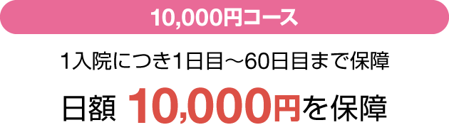 10,000~R[X 1@ɂ1ځ`60ڂ܂ŕۏ z10,000~ۏ