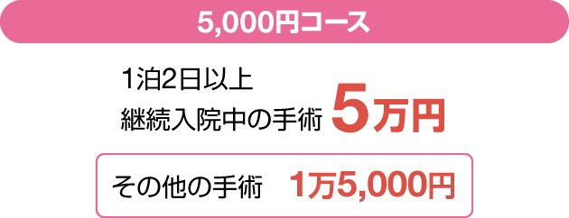 5,000~R[X 12ȏp@̎p 5~ ̑̎p 15,000~