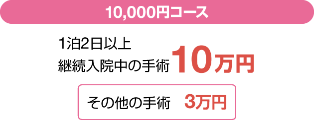 10,000~R[X 12ȏp@̎p 10~ ̑̎p 3~