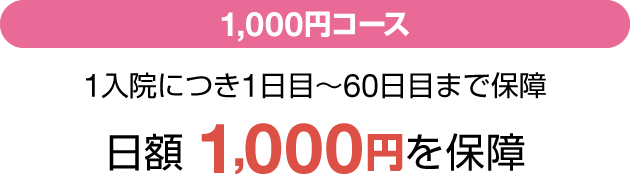 1,000~R[X 1@ɂ1ځ`60ڂ܂ŕۏ z1,000~ۏ