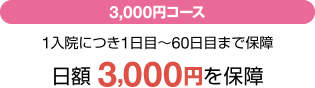 3,000~R[X 1@ɂ1ځ`60ڂ܂ŕۏ z3,000~ۏ